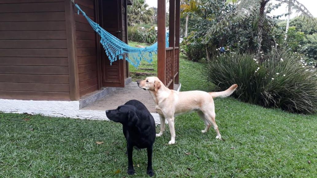 Pousada Recanto Dos Pinheiros Hotel Pilar do Sul Eksteriør billede